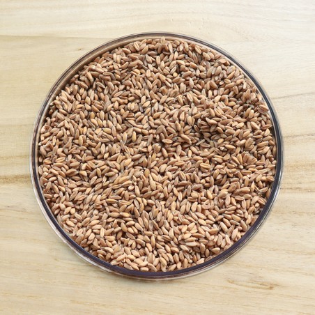 FARRO DECORTICATO ITALIA