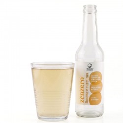 BEVANDA FERMENTATA CON COLTURE DI KEFIR ZENZERO, LIMONE E CURCUMA