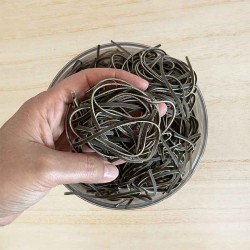 TAGLIOLINI AUX ORTIES