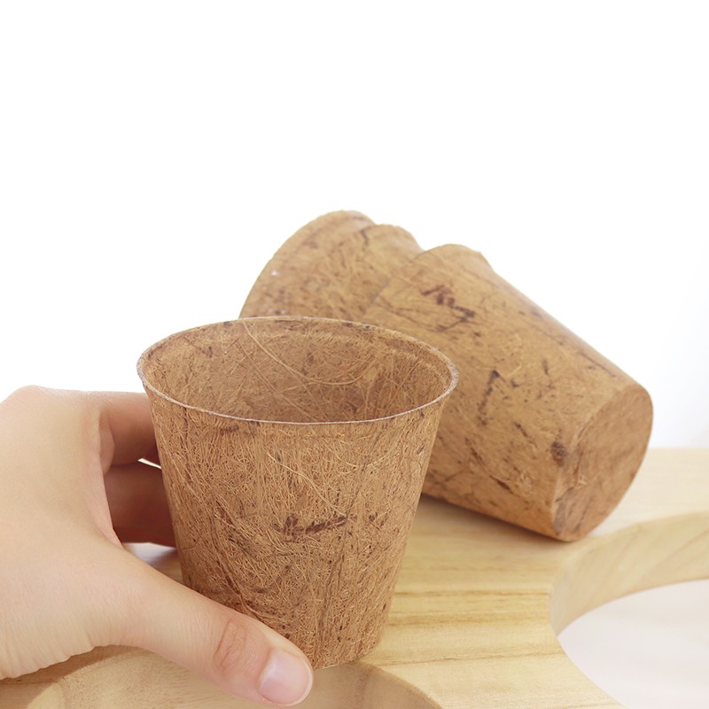 GODETS DE COCO