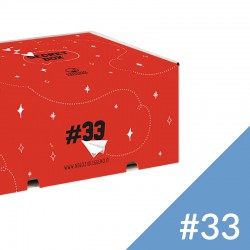 SECRET BOX 33 - LA SECRET BOX DI NATALE