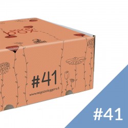 SECRET BOX 41 - inserire nome qui