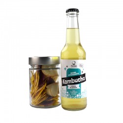 KOMBUCHA & CHIPS