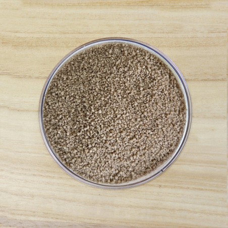 COUSCOUS AL GRANO SARACENO