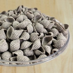 copy of CONCHIGLIE RIGATE CON GRANO SARACENO