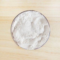 copy of CARRUBE