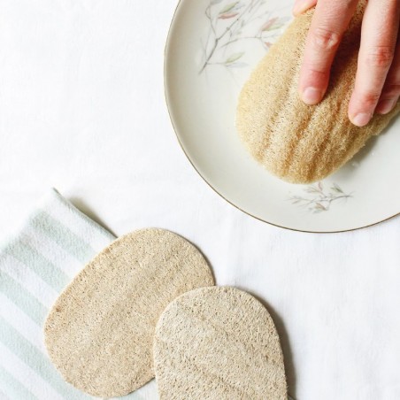 SPUGNA PRESSATA IN LOOFAH