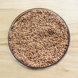 FARRO DECORTICATO