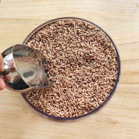 FARRO DECORTICATO