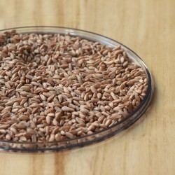 FARRO DECORTICATO