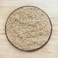 ORZO PERLATO