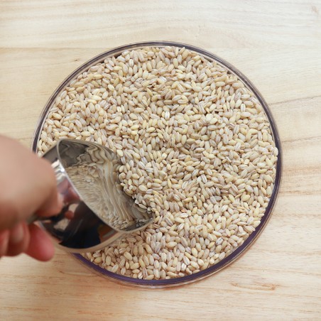 ORZO PERLATO