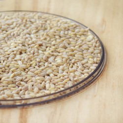 ORZO PERLATO