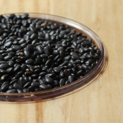 copy of HARICOTS NOIRS