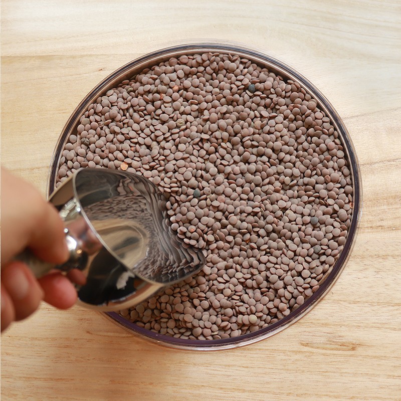 copy of LENTILLES BRUNES