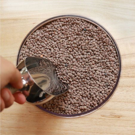copy of LENTILLES BRUNES