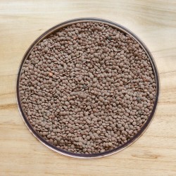 copy of LENTILLES BRUNES
