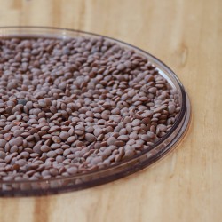 copy of LENTILLES BRUNES