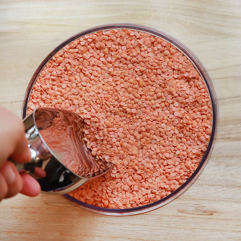 copy of LENTILLES CORAIL