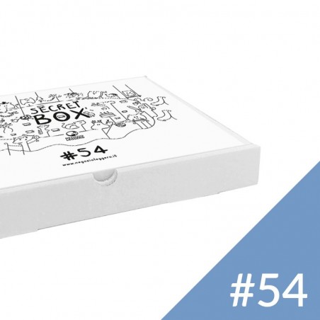 SECRET BOX 54 - L'ATTESA