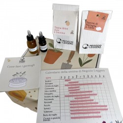 SECRET BOX 49 - GERMOGLI