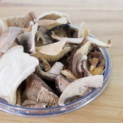 MIX DI FUNGHI SECCHI