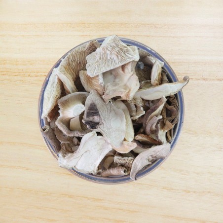 copy of FUNGHI PORCINI...