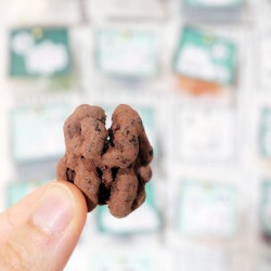 CALENDARIO DELL' AVVENTO - La casa sull'albero